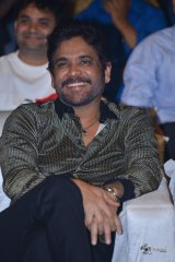 Mr Majnu Movie Pre Release Event Photos